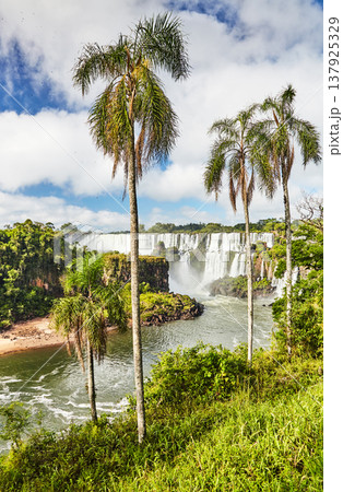 Iguassu Falls, view from Argentinian side Iguassu Falls, view from Argentinian side 137925329