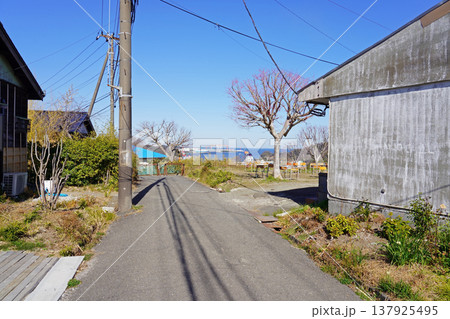 再生した「天空の廃墟」横須賀・月見台住宅から見える長浦湾 137925495