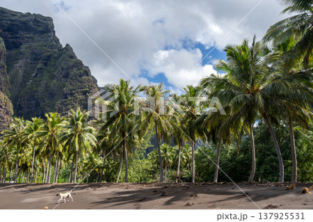 Remote beach in Hakaui Bay, Nuku Hiva, Marquesas Islands, French Polynesia 137925531