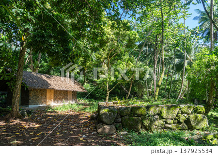 Thatched-roof building at Kamuihei archaeological site, Nuku Hiva, Marquesas Islands. French Polynesia Thatched-roof building at Kamuihei archaeological site, Nuku Hiva, Marquesas Islands. French Polynesia 137925534
