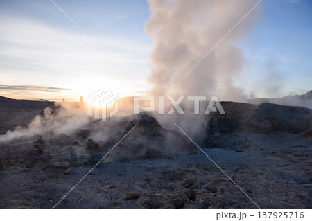 Powerful geyser steam at sunrise in sol de manana geothermal field 137925716