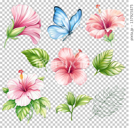 Tropical flower hibiscus watercolor set, summertime clipart with butterfly and palm leaves, isolated Tropical flower hibiscus watercolor set, summertime clipart with butterfly and palm leaves, isolated 137925875