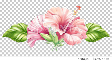 Tropical hibiscus floral arrangement, watercolor border ornament Tropical hibiscus floral arrangement, watercolor border ornament 137925876
