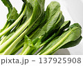 日本の新鮮でヘルシーな野菜（小松菜） 137925908
