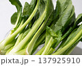 日本の新鮮でヘルシーな野菜（小松菜） 137925910