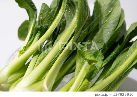 日本の新鮮でヘルシーな野菜（小松菜） 137925910