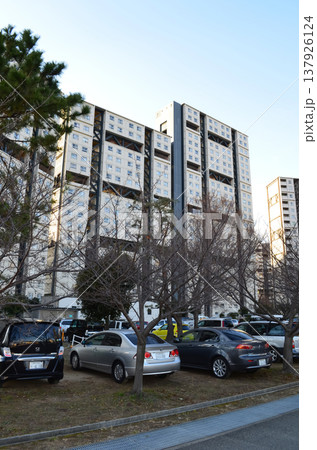 芦屋浜団地の建物が並ぶ都市の住宅風景 芦屋浜団地の建物が並ぶ都市の住宅風景 137926124