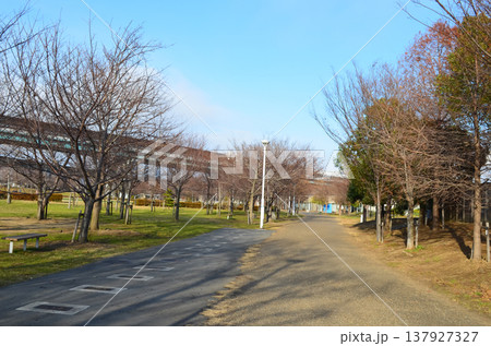 神戸の公園に広がる静かな自然の風景 神戸の公園に広がる静かな自然の風景 137927327