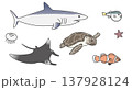 サメやウミガメなど海の生き物（海洋生物）のイラスト詰め合わせセット 137928124