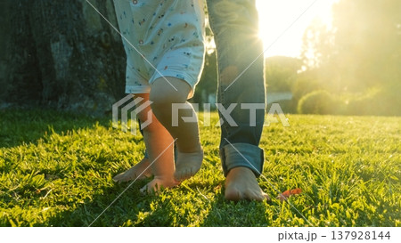 Walking children's bare feet on a green lawn close-up. Child learns to take the first steps on the grass. Baby learns to walk with the help of his mother on a green grass in the park. Walking children's bare feet on a green lawn close-up. Child learns to take the first steps on the grass. Baby learns to walk with the help of his mother on a green grass in the park. 137928144