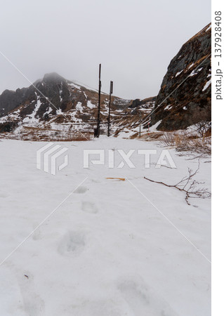 冬の礼文島・桃岩展望台から望む雪に包まれた風景 137928408