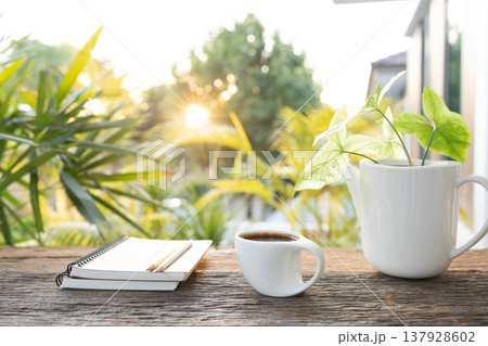 White coffee cup and stack of notebook with pothoes plant on wooden table and sun ray background White coffee cup and stack of notebook with pothoes plant on wooden table and sun ray background 137928602