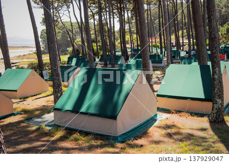 green tents are located in a green misty forest. green tents are located in a green misty forest. 137929047