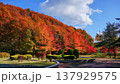 秋田市仁別の燃えるような紅葉 137929575