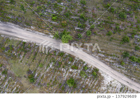 country road, view from above, aerial view country road, view from above, aerial view 137929689