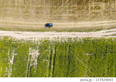country road, view from above, aerial view country road, view from above, aerial view 137929693