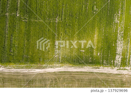 country road, view from above, aerial view country road, view from above, aerial view 137929696