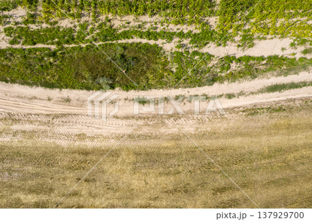 country road, view from above, aerial view 137929700