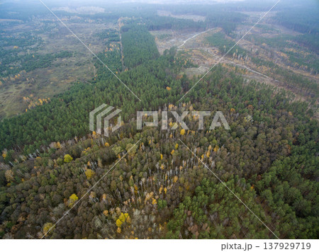 wild field, view from above wild field, view from above 137929719