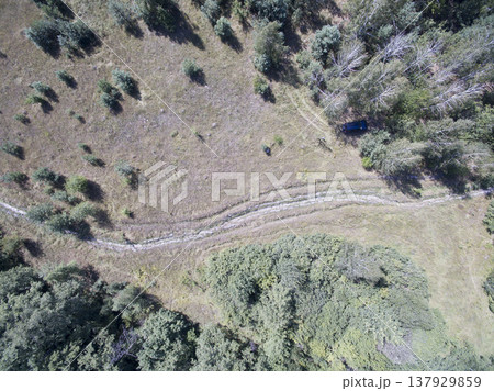 green forest, view from above 137929859