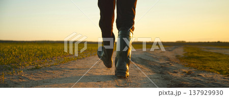 AGRICULTURE. Man farmer in rubber boots walks along a country road near a green field of wheat grass. Concept of agricultural business. 137929930