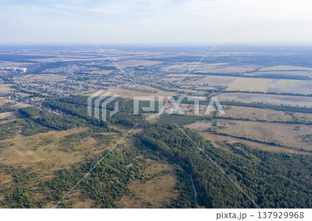view from above of forest 137929968