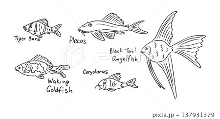 Illustration of various freshwater fish species including Tiger Barb, Plecos, Black Tail Angelfish, Waking Goldfish, and Corydoras with labeled names Illustration of various freshwater fish species including Tiger Barb, Plecos, Black Tail Angelfish, Waking Goldfish, and Corydoras with labeled names 137931379