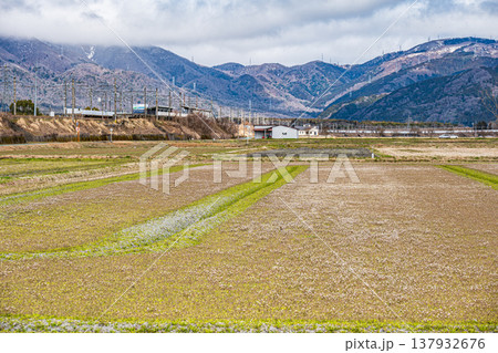 奥琵琶湖マキノ町の田園風景　滋賀県高島市 137932676