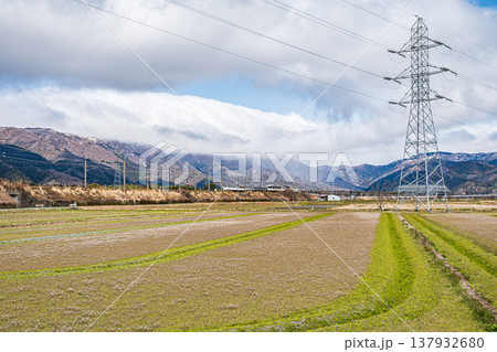 田んぼの中に立つ鉄塔 滋賀県高島市マキノ町 田んぼの中に立つ鉄塔 滋賀県高島市マキノ町 137932680