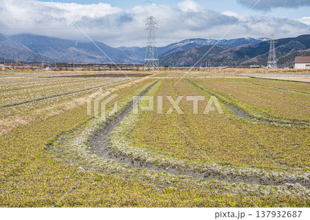 奥琵琶湖マキノ町の田園風景 滋賀県高島市 奥琵琶湖マキノ町の田園風景 滋賀県高島市 137932687
