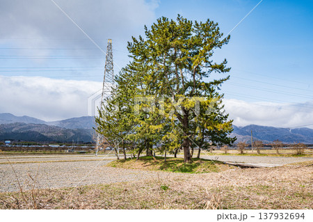 奥琵琶湖マキノ町の田園風景　滋賀県高島市 137932694
