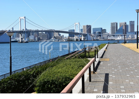 東京都江東区　豊洲ぐるり公園散策路とレインボーブリッジ 137932965
