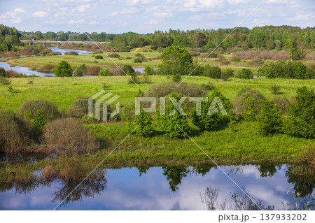 Tranquil summer landscape featuring green fields Tranquil summer landscape featuring green fields 137933202
