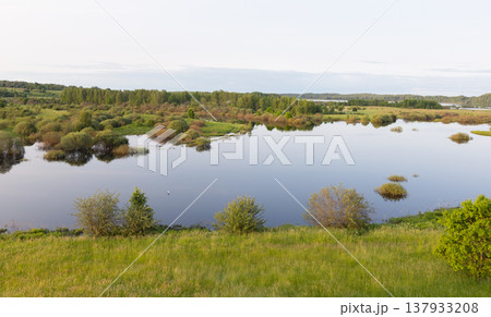 A tranquil summer wetland and lake A tranquil summer wetland and lake 137933208