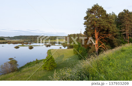 Warm sunset light illuminates a lone pine tree Warm sunset light illuminates a lone pine tree 137933209