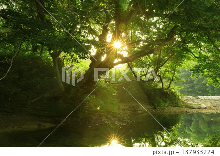 川のある風景 137933224