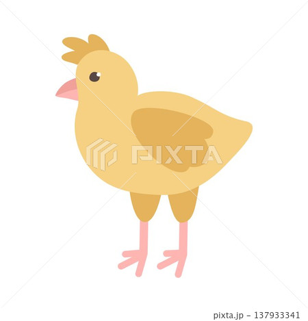 Cute yellow chicken. Vector spring illustration. 137933341