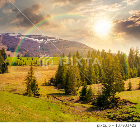 sunset over mountain landscape during spring. peaceful countryside scenery with coniferous forest near grassy field. beautiful ridge with snow capped top in the distance under the rainbow sunset over mountain landscape during spring. peaceful countryside scenery with coniferous forest near grassy field. beautiful ridge with snow capped top in the distance under the rainbow 137933422