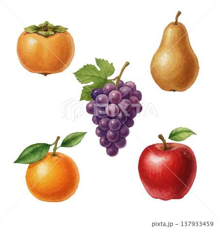 秋のフルーツ水彩イラストセット 柿・ぶどう・梨・りんご・柑橘素材 137933459