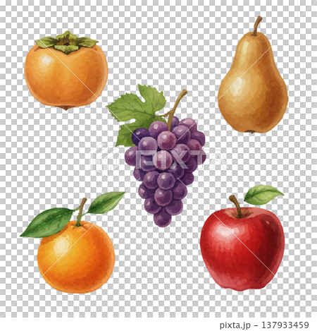 秋のフルーツ水彩イラストセット 柿・ぶどう・梨・りんご・柑橘素材 137933459