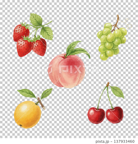 春のフルーツ水彩イラストセット いちご・桃・さくらんぼ・柑橘素材 137933460