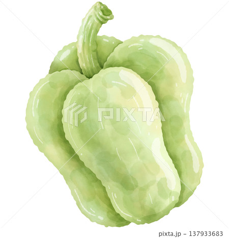 Hand-painted watercolor bell pepper. Hand-painted watercolor bell pepper. 137933683