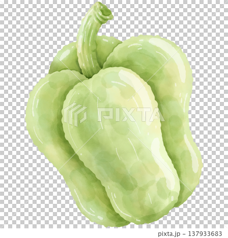Hand-painted watercolor bell pepper. Hand-painted watercolor bell pepper. 137933683
