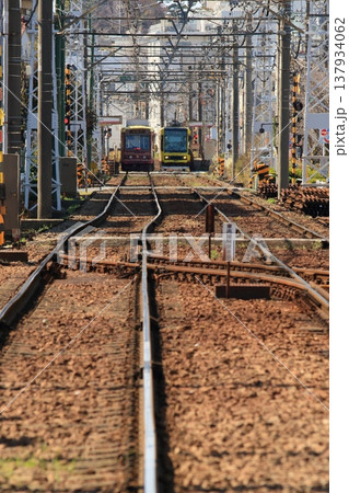 都電荒川線　東京さくらトラム 137934062