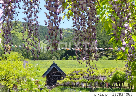 日本の原風景を思い出すような景観地 137934069