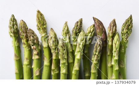 白背景のアスパラガス｜並んだ穂先のクローズアップ野菜素材 137934079