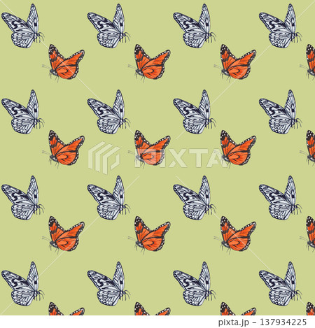 Seamless pattern with watercolor illustrated butterflies , botanical insects 137934225