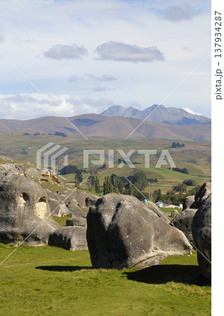 ニュージーランドの絶景 Scenic landscape of Elephant Rock, NZ 137934287