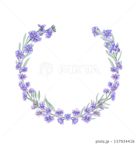 Watercolor blue Matthiola semicircular wreath on isolated background. Hand drawn Hoary Stock flowers botanical composition for greeting cards, poster, decor, spring design. Copy space for text Watercolor blue Matthiola semicircular wreath on isolated background. Hand drawn Hoary Stock flowers botanical composition for greeting cards, poster, decor, spring design. Copy space for text 137934416