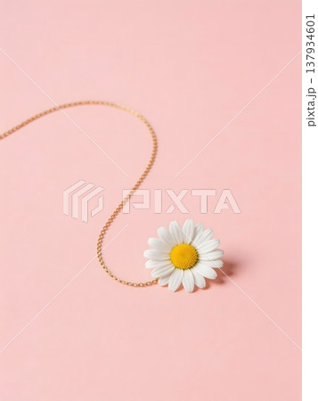 white flower on pink background 137934601